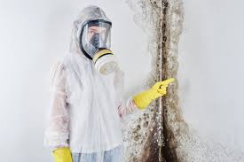 Best Mold Remediation for Healthcare Facilities  in Bedford, IA